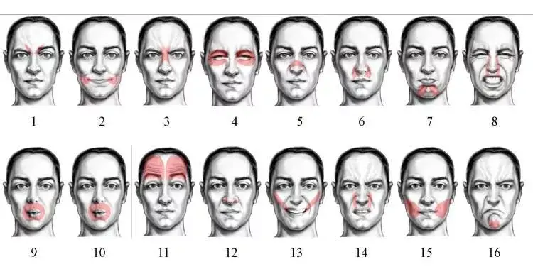 Ejercicios para la parálisis facial palma Ejercicios para la parálisis facial palma